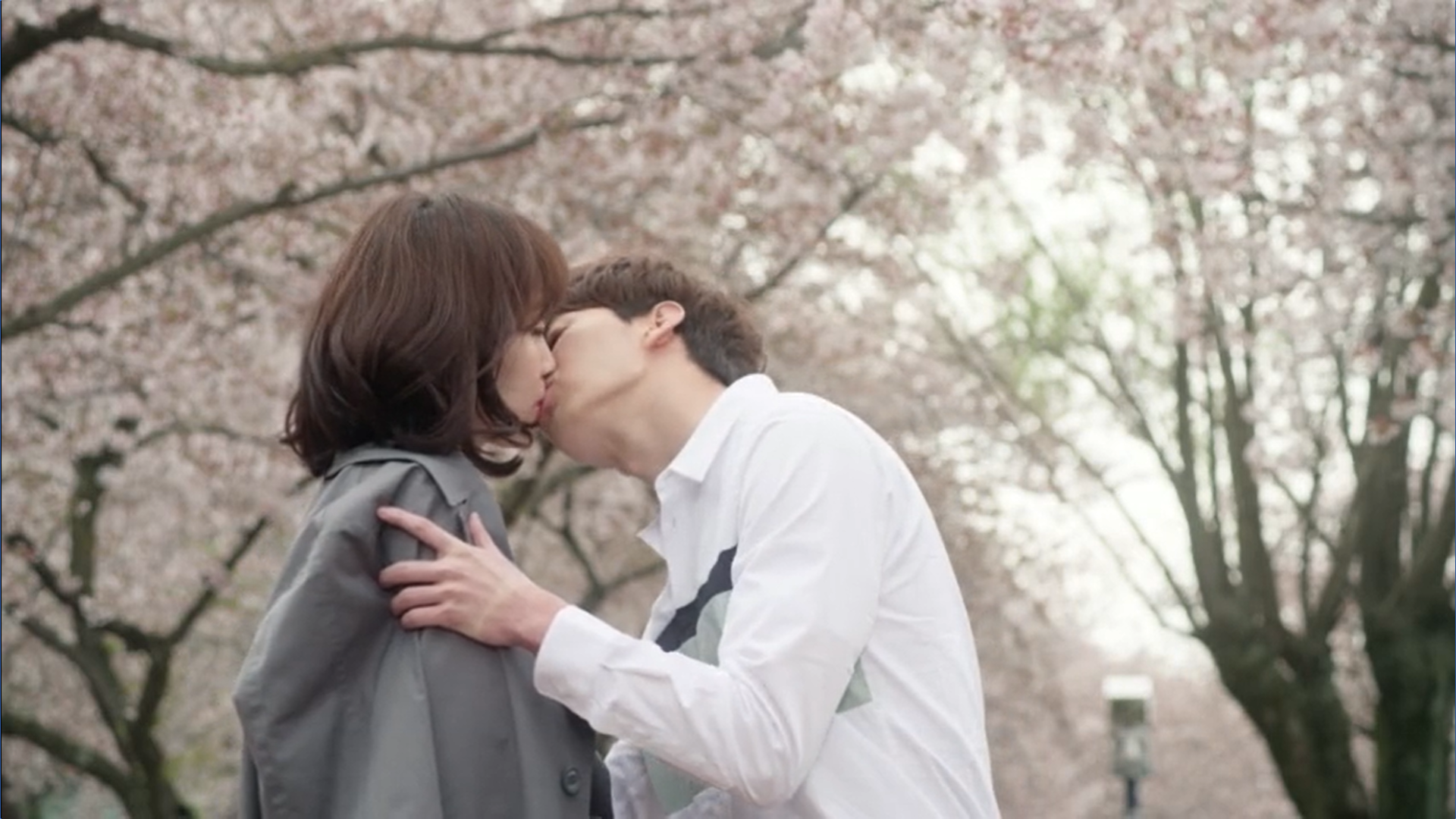 Wednesday 3:30 PM Seon Eun-woo and Yoon Jae-won kissing cherry blossoms